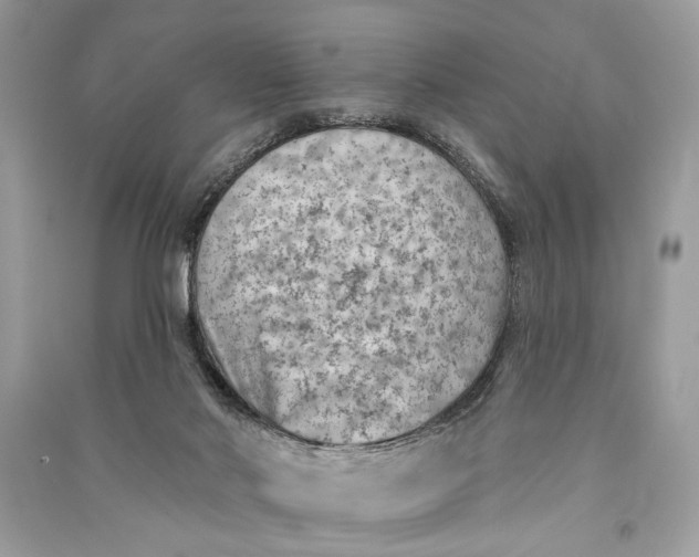 X0000090730022200708101650