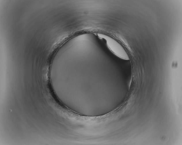 X0000090730023200708101650