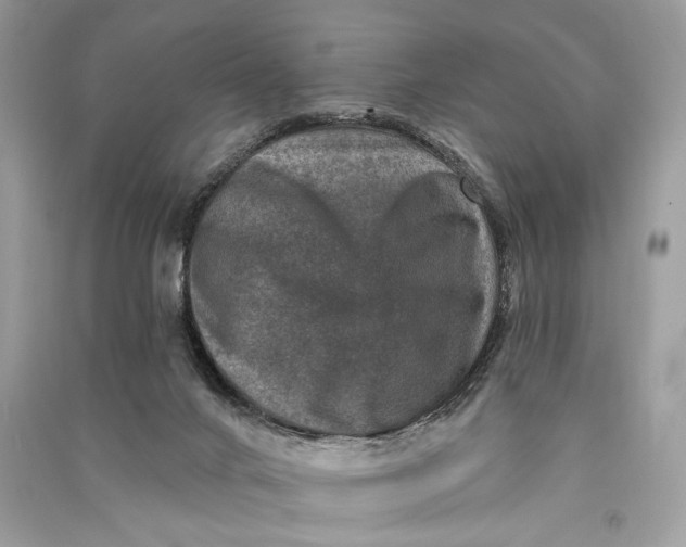 X0000090730024200708101650