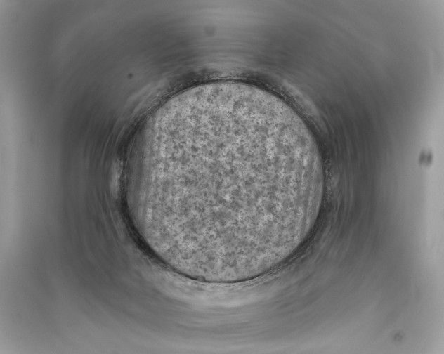 X0000090730026200708101650