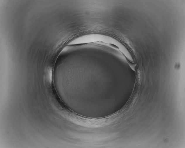 X0000090730027200708101650