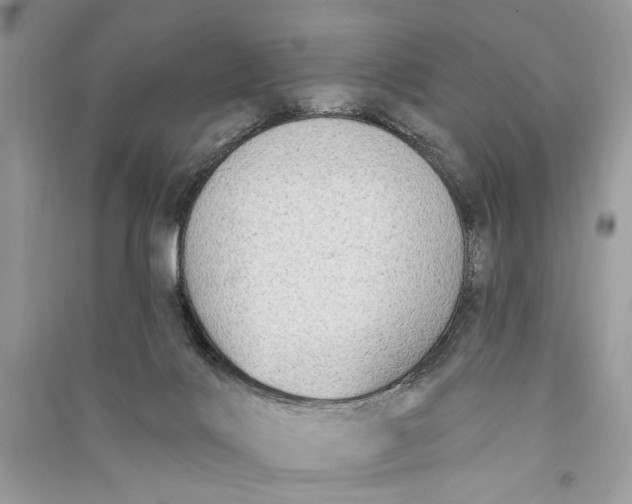 X0000090730028200708101650