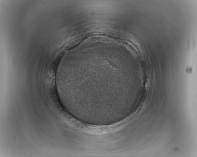 X0000090730029200708101650