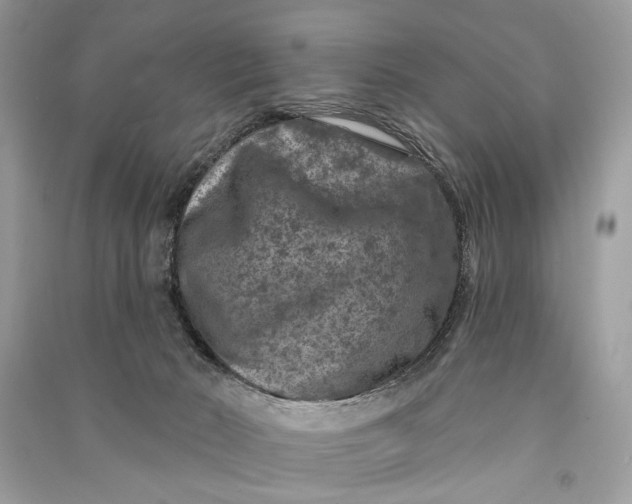 X0000090730030200708101650