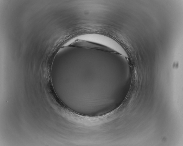 X0000090730031200708101650