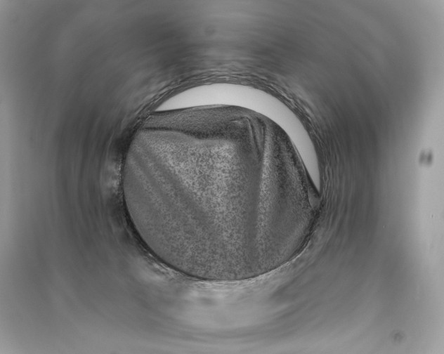 X0000090730033200708101650