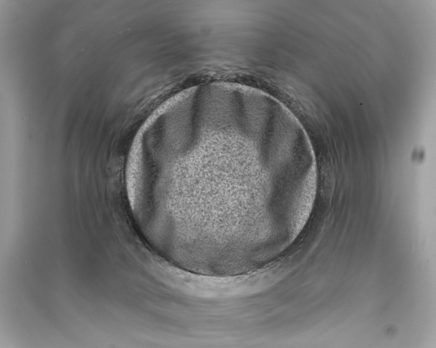 X0000090730034200708101650