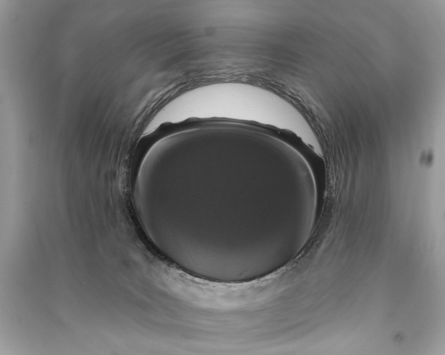 X0000090730035200708101650