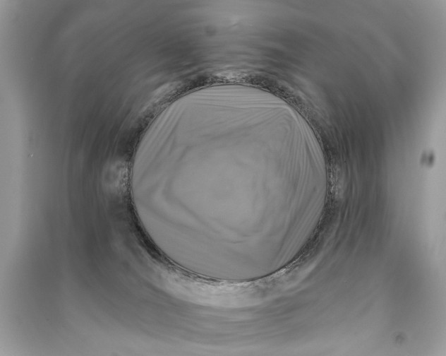 X0000090730036200708101650