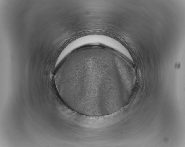 X0000090730037200708101649