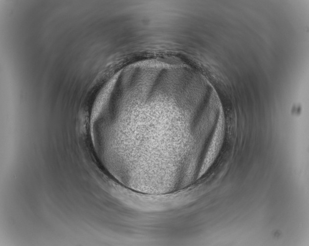 X0000090730038200708101649