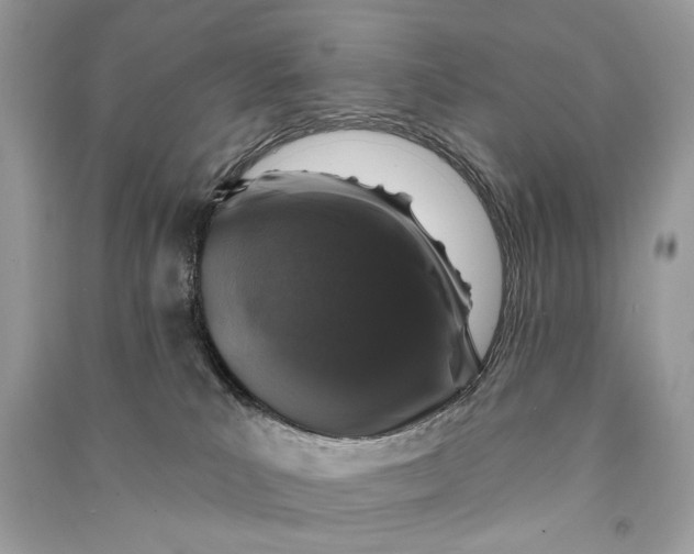 X0000090730039200708101649