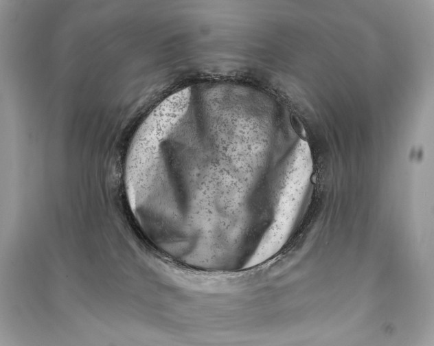 X0000090730040200708101649