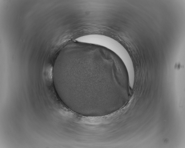 X0000090730041200708101649