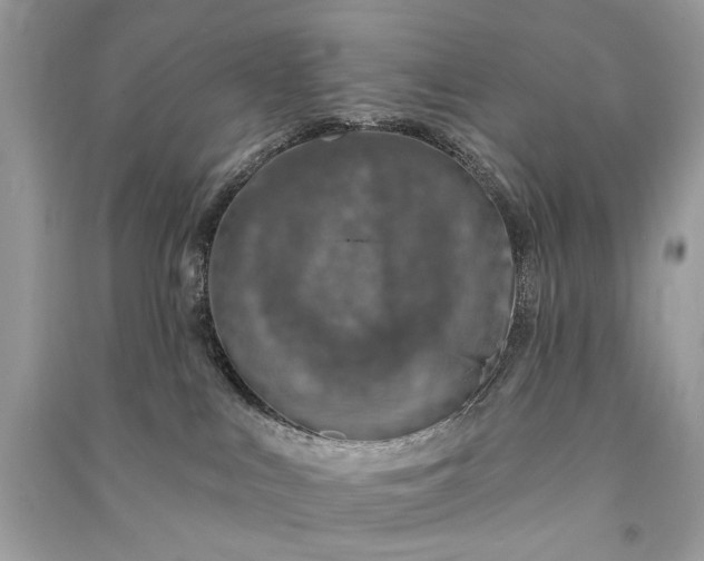 X0000090730043200708101649