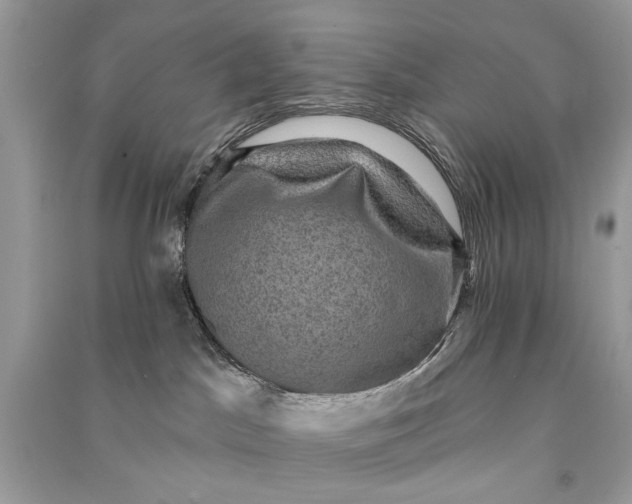 X0000090730045200708101649