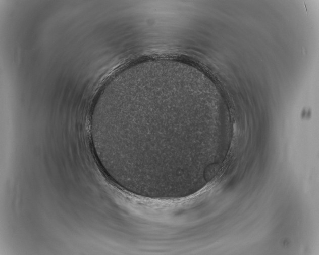 X0000090730048200708101649