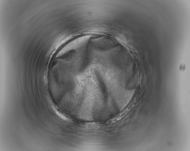 X0000090730050200708101649