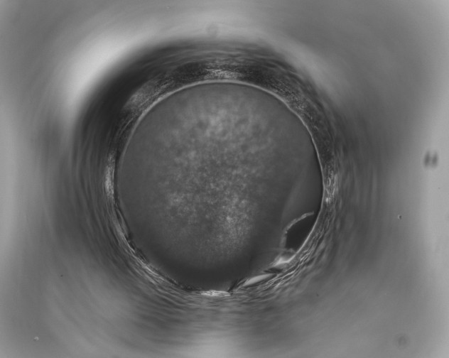 X0000090730052200708101649