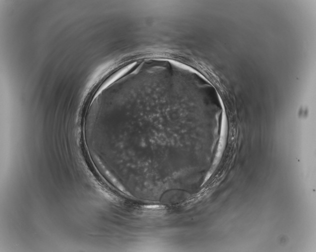 X0000090730053200708101649