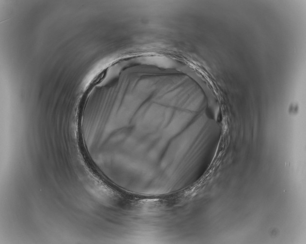 X0000090730054200708101649