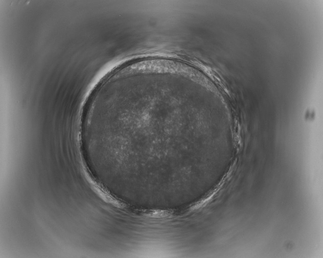 X0000090730056200708101649