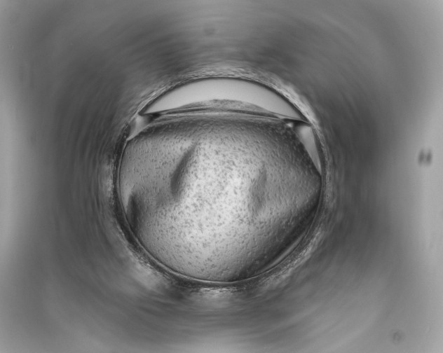 X0000090730057200708101649