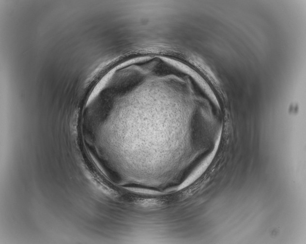 X0000090730058200708101649