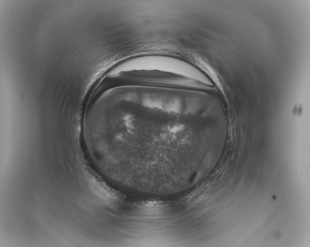 X0000090730059200708101649