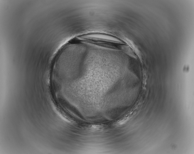 X0000090730060200708101649