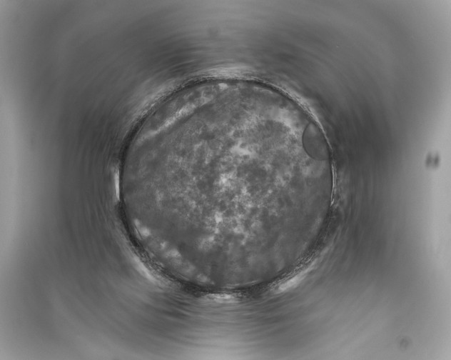 X0000090730061200708101649