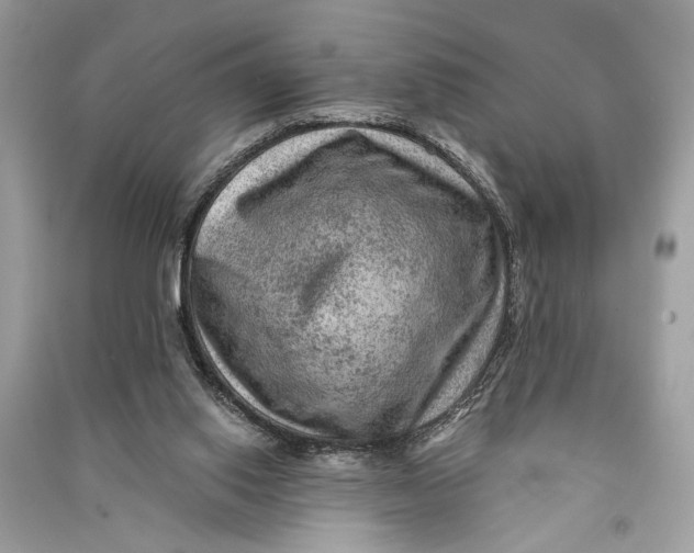 X0000090730062200708101649