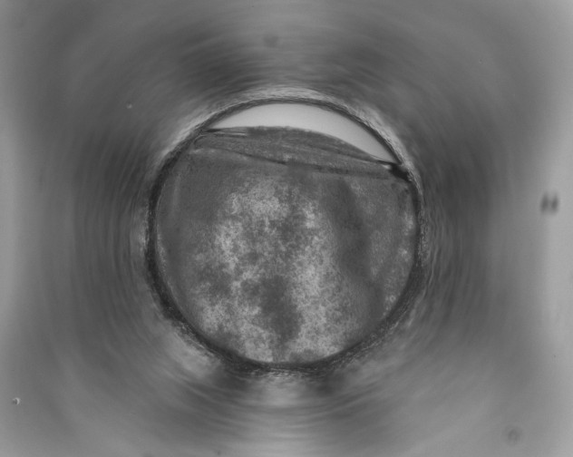 X0000090730063200708101649