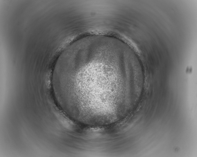 X0000090730065200708101649