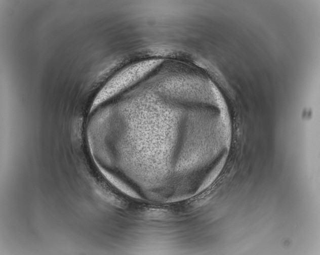 X0000090730066200708101649