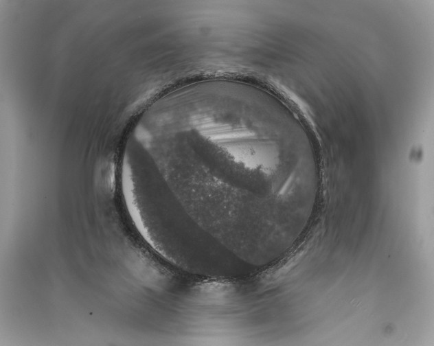 X0000090730067200708101649