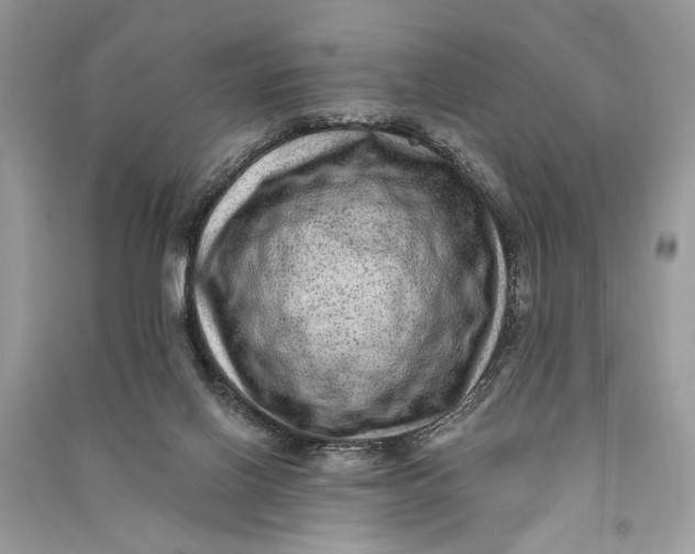 X0000090730070200708101649