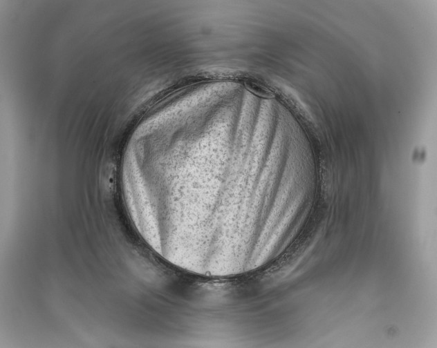 X0000090730071200708101649