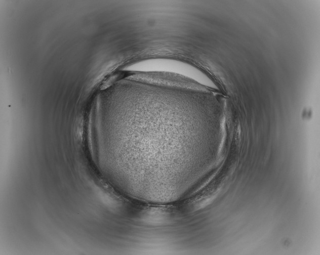 X0000090730072200708101649