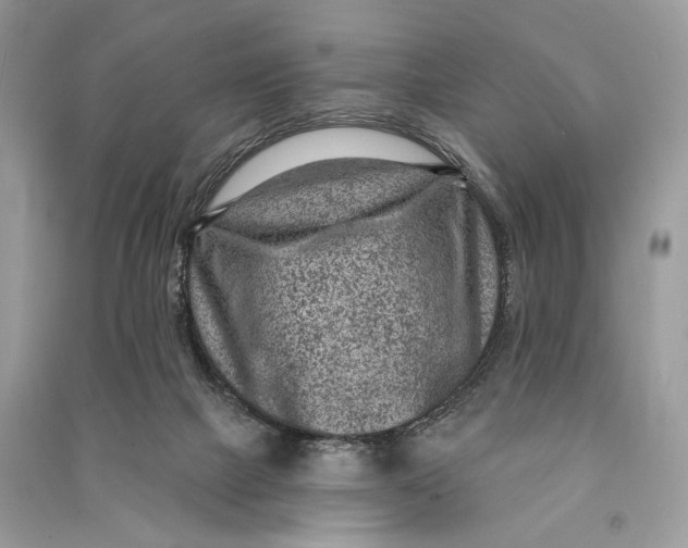 X0000090730073200708101649