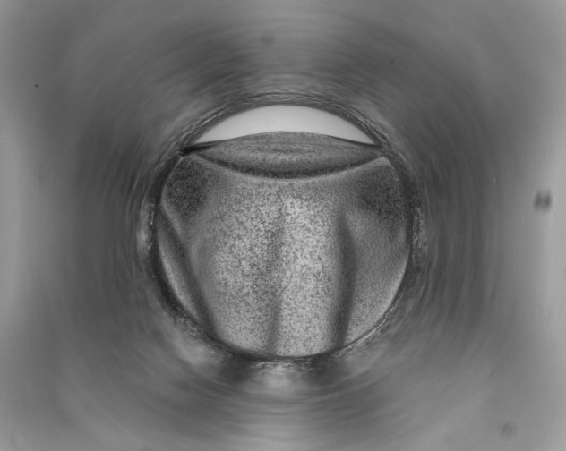 X0000090730074200708101649