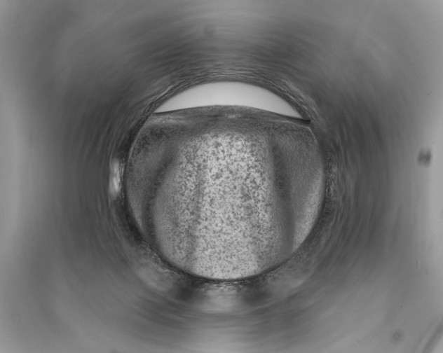 X0000090730075200708101649