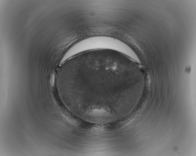 X0000090730076200708101649