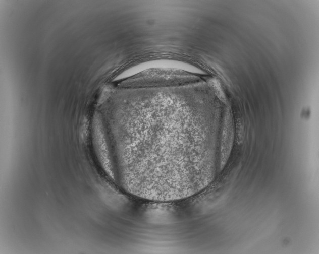 X0000090730077200708101649