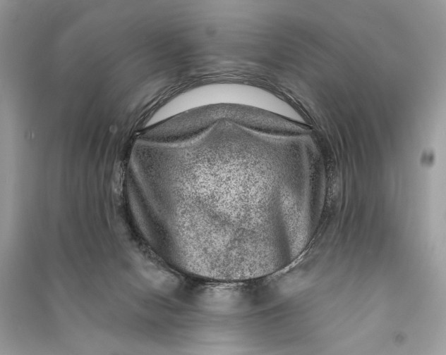 X0000090730078200708101649