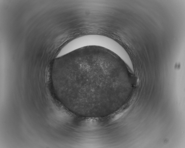 X0000090730080200708101649