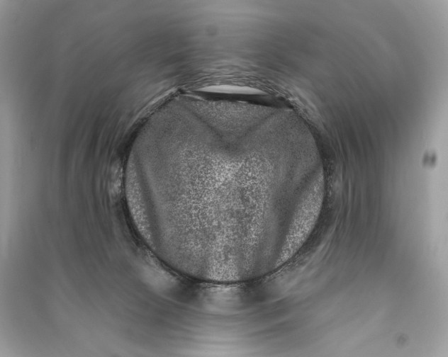 X0000090730081200708101649