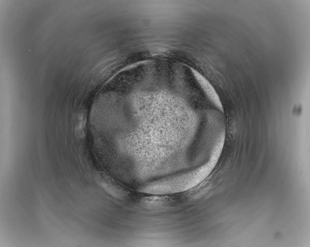 X0000090730082200708101649