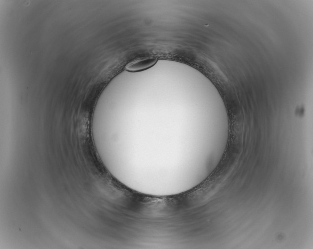 X0000090730083200708101649