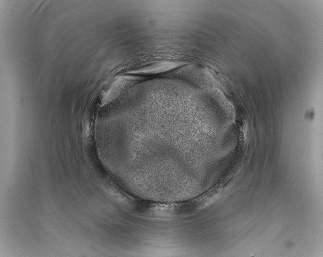 X0000090730084200708101649